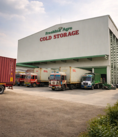 Freshlink Agro Cold Storage